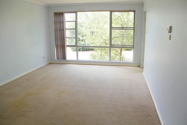27 Haines Street, Curtin ACT 2605 - House For Rent | Domain - Photo 1