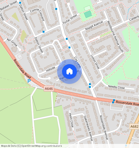 Plane Tree Close, Derby