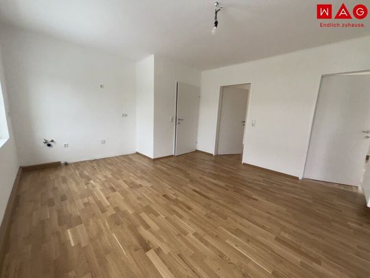Sonnige Grünlage, ausgewählte Nachbarschaft & Entspannung pur: sanierte 3-Zimmer-Wohnung im obersten Stock eines kleinen Mehrparteienhauses mit moderner Dusche und viel Privatsphäre! - Foto 1