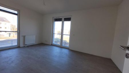 Helle 2-Zimmer-Wohnung in Neustadt! - Foto 4