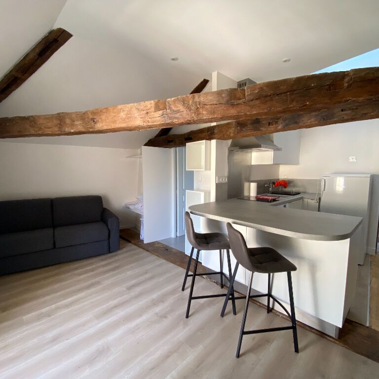 Appartement Blois 1 pièce(s) 20 m2 - Photo 1