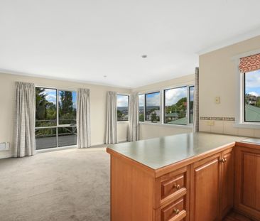 Elevated and Sunny - Photo 6