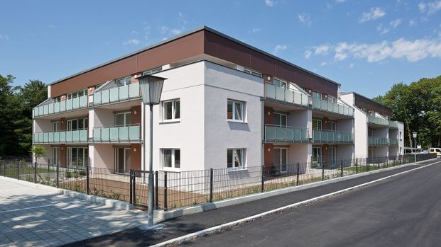 SCHEIBBS XX/2 - Photo 1