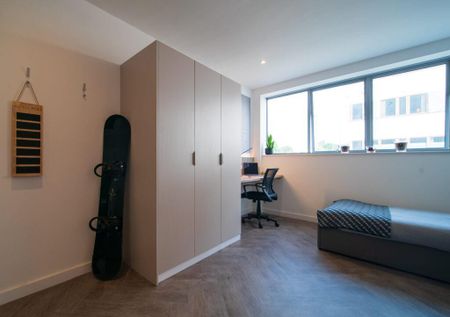 Studio to rent - Photo 3