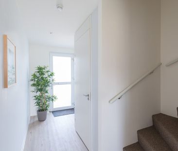 Meander 32 - Photo 3