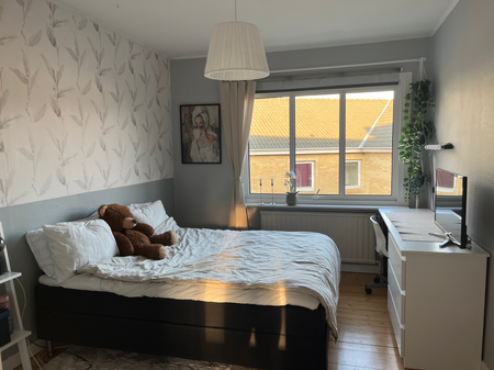 Flygaregatan, Halmstad - Foto 2