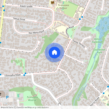 1 Christina Ave, Te Atatu South, Waitakere City