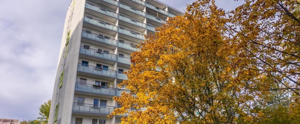 2-Raum-Wohnung - Photo 1