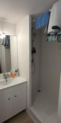 Location Appartement 1 pièce 19m² TOURS 37000 - Photo 1