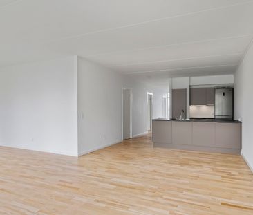 Velkommen til Store Grundet Alle! - Foto 4