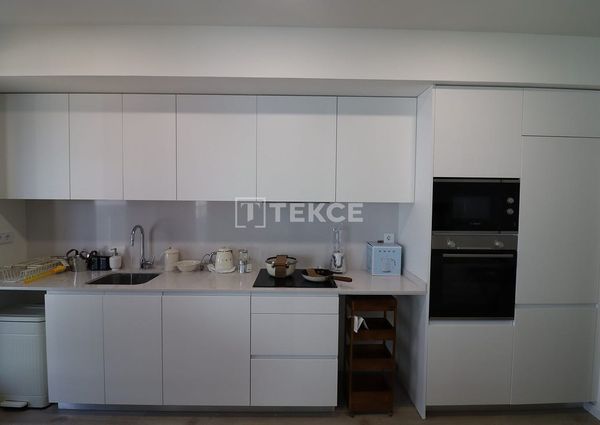 Badalona, La Morera, Barcelona, Catalonia 08918