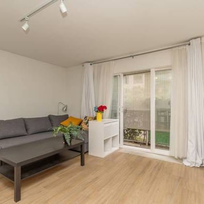 2416 Birch Street, Vancouver (Furnished) - 1BR/1BA Fairview Suite! - Photo 1