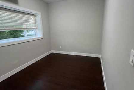 25482 Godwin Drive, Maple Ridge (Basement) - Photo 3