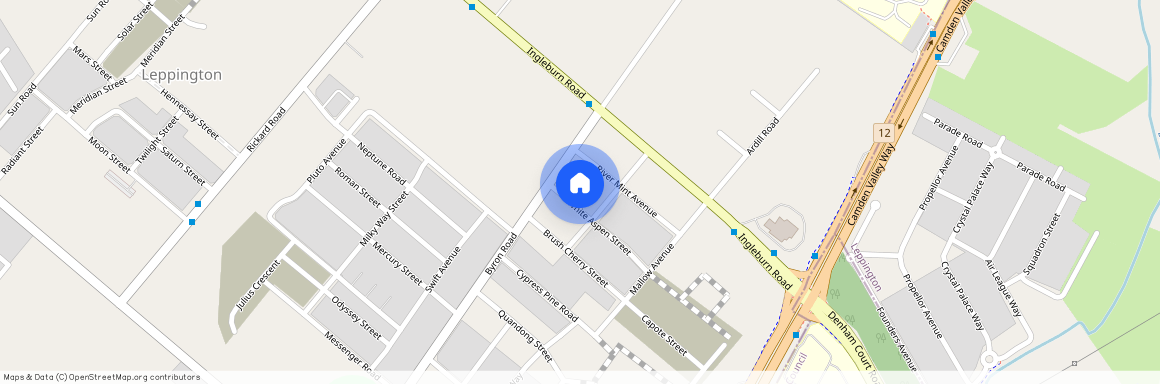 36 White Aspen Street, NSW 2179, Leppington