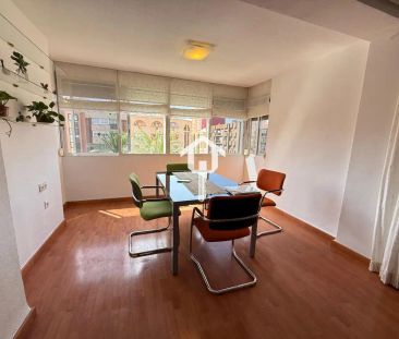 Piso de alquiler en Avenida Aguilera, Alipark - Photo 5