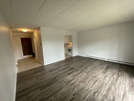 One Bedroom Apartment - Photo 2