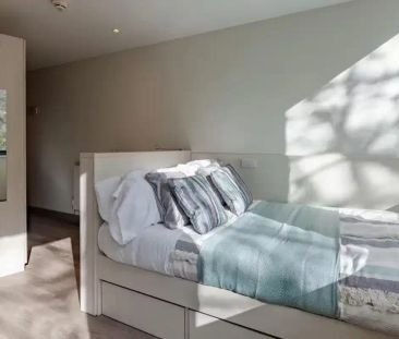 Top Floor Classic Studio - Photo 5