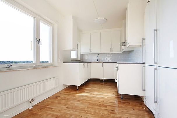 Skyttens Gata 560 - Photo 1