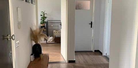 Boeimeerlaan - Foto 2