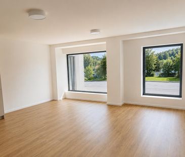 Kernsanierte 2.5 Zimmer-Wohnung mit grossem, gedeckte Gartensitzplatz - Photo 1