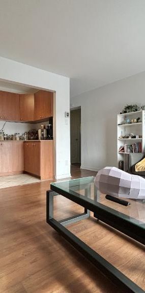 Appartement 3 ½ à louer Sainte-Foy / Sillery juillet 2026 - Photo 1