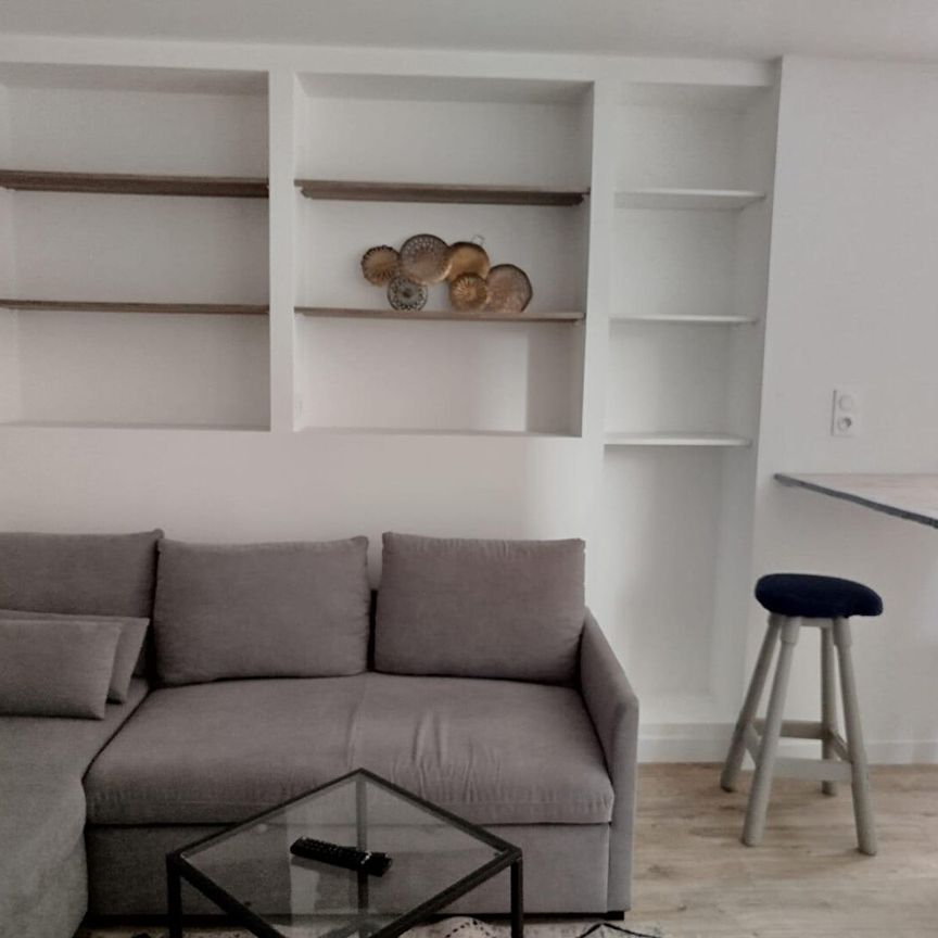 T2 meublé - centre-ville de Pau, - Photo 1