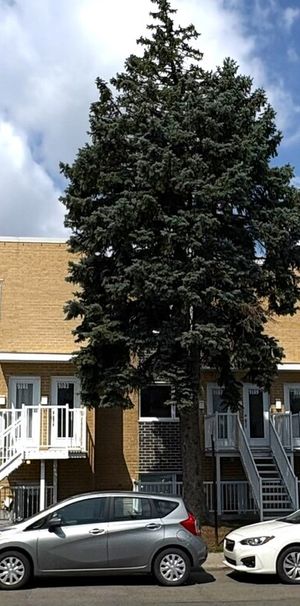 CONDO 4 1-2 + GRAND BALCON À LOUER - Photo 1