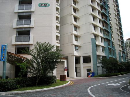 Blk 315C Anchorvale Gardens (Sengkang), HDB Executive - For Rent - Photo 2