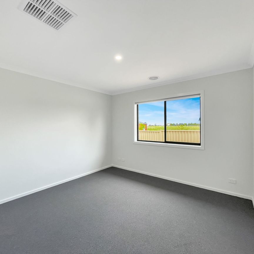 21 Webb Road, Bonshaw - Photo 1