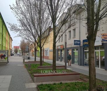 Pronájem 1kk v centru Veselí nad Moravou - Photo 3