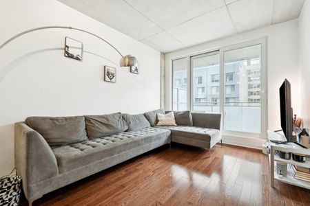 Appartement à louer - Montréal (Ville-Marie) (Mille Carré Doré) - Photo 3