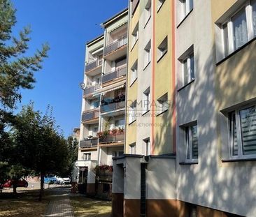 Przytulny pokój 12m2(+1 pok.9m2) ul.Naramowicka,Pń - Zdjęcie 2