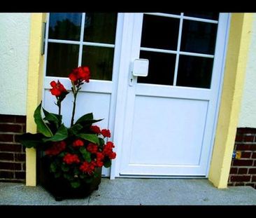 zu Vermieten 2 Zimmer Wohnung / Apartment - Foto 1