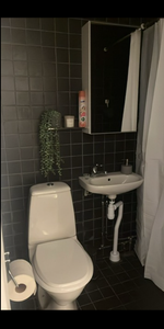 Svedenvägen, Rö - Photo 3