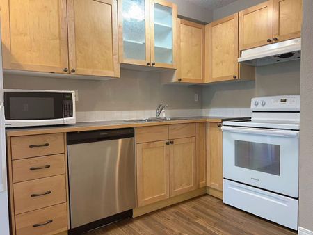 Cozy 1 Bedroom in Bankview - Photo 4