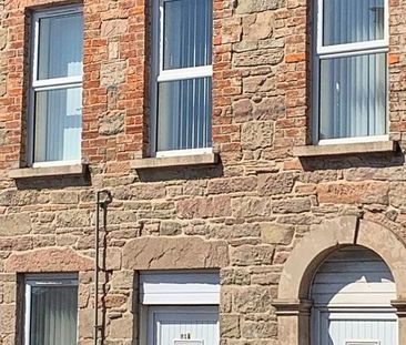 A, 81 South Street, Newtownards, BT23 4JU - Photo 6