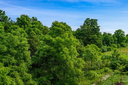 For Lease - 121 Mary Street Unit# 322, Clearview, Ontario - Photo 5