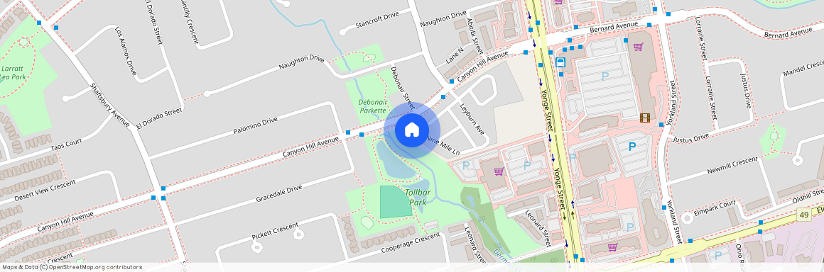 10 Honey Milk Lane, Richmond Hill