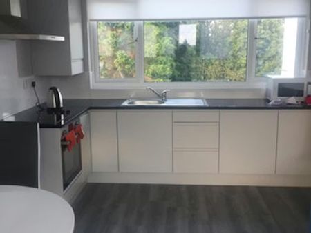 The Rise, Dublin - Photo 4