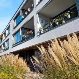 Appartement Schermerstraat 38, La Haye - À louer - Foto 1