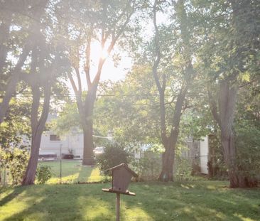 For Lease - 22 Buena Vista Avenue Unit# Lower unit, Toronto, Ontario - Photo 4