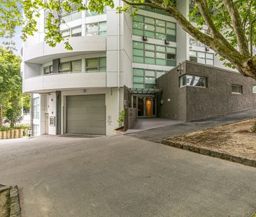 2D/156 Vincent Street, City Centre - Photo 1