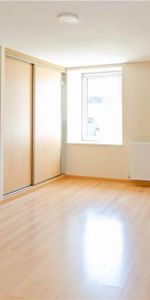 Location Appartement 2 pièces 47m² CHATTE 38160 - Photo 3