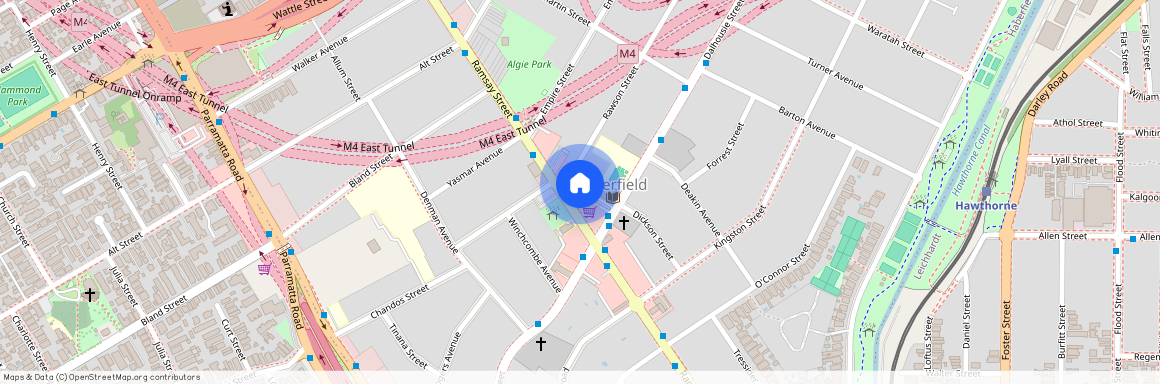 169A Ramsey Road, NSW 2045, Haberfield