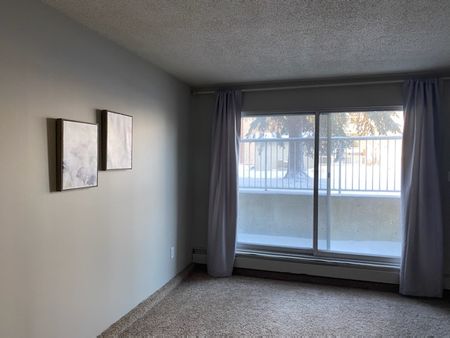 Palisades Manor - Photo 4