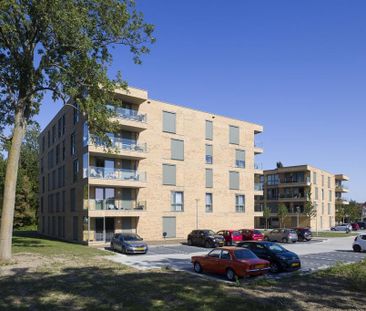 Appartement te huur: Nachtegaalstraat 88 3201 VL Spijkenisse - Photo 4