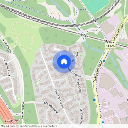 Swallow Tail Drive, Gateshead, NE11 9TG