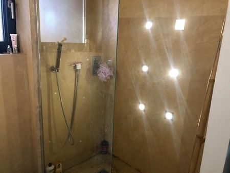 Location Appartement 2 pièces 41m² BRUGUIERES 31150 - Photo 5