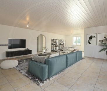 Spacious 3½-room apartment on the 1st floor in Birrhard for rent - Photo 1