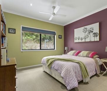 LILLI PILLI NSW - Photo 3
